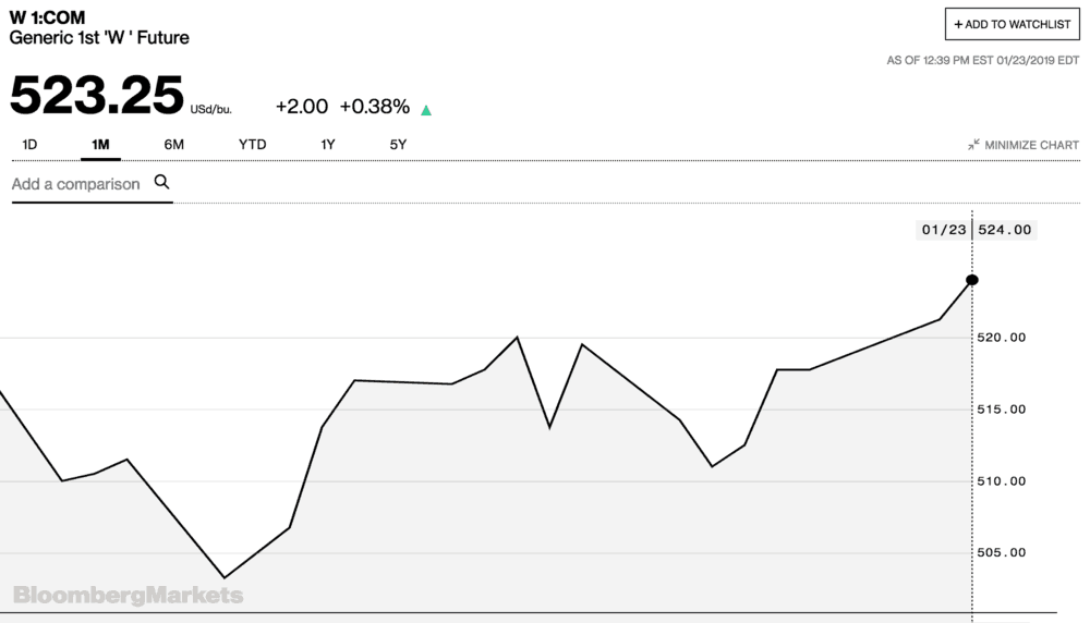 Wheat prices mounting a comeback. ( Chart: Bloomberg )