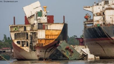 4_29_scrapyard