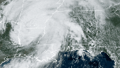 Satellite animation of Tropical Storm Laura over the lower Mississippi Valley.