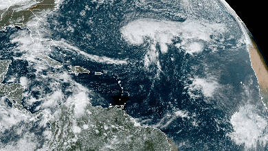 Satellite animation of Tropical Storm Epsilon in the Atlantic.