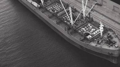 Shipping evolved to transport cars.