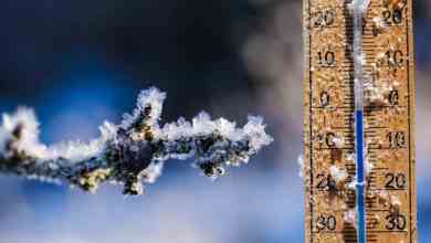 sub zero rates