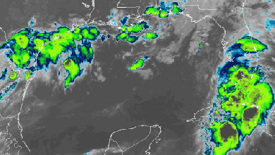Satellite animation of Tropical Storm Elsa near the Florida Keys.