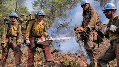 Crews at the Dixie fire in Northern California.