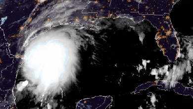 Satellite animation of Tropical Storm Nicholas.