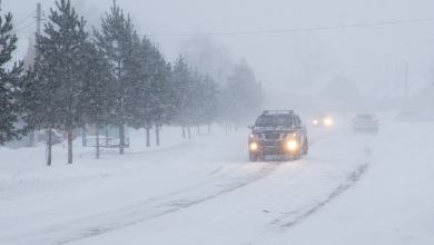 Cars driving through a blizzard.
