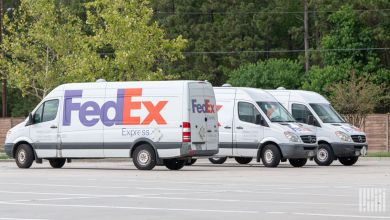 Three FedEx delivery vans in a parking lot surrounded by trees.
