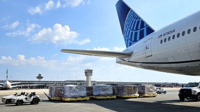 Ground view of United Airlines tail section with a tractor pulling cargo pallets behind it on a sunny day.