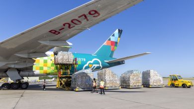 Cargo pallets lined up next to a YunExpress freighter as part of the unloading process.