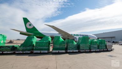 A green EVA Air Cargo jet is seen on ramp with shrink-wrapped pallets on the ground ready for loading.